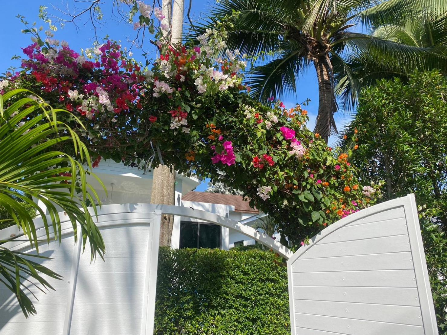 Bougain Villas Salad Beach Exterior photo